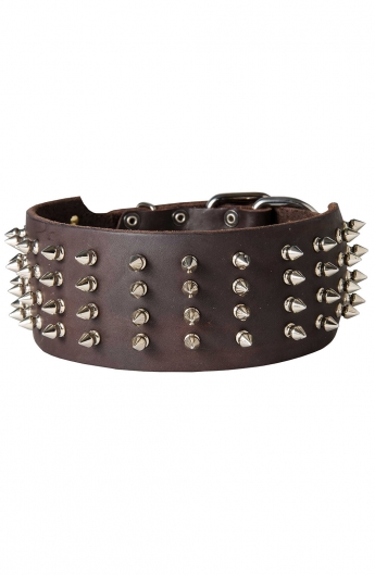 Royal Spiked Leather Dog Collar Gladiator Style