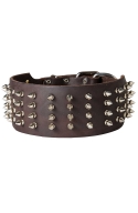 Royal Spiked Leather Dog Collar Gladiator Style