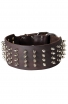 Royal Spiked Leather Dog Collar Gladiator Style