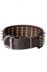 Royal Spiked Leather Dog Collar Gladiator Style