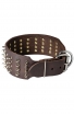 Royal Spiked Leather Dog Collar Gladiator Style