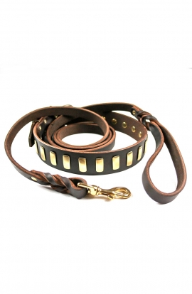 Leather Set of Decorated Dog Collar and Braided Leash