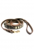 Leather Set of Decorated Dog Collar and Braided Leash