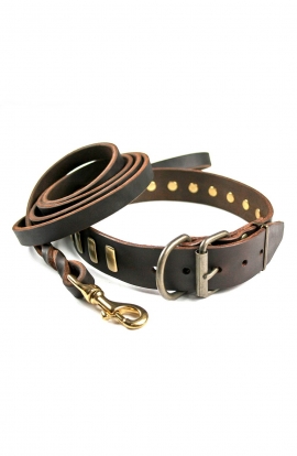 Leather Set of Decorated Dog Collar and Braided Leash