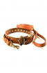 Leather Set of Decorated Dog Collar and Braided Leash