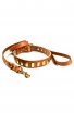 Leather Set of Decorated Dog Collar and Braided Leash