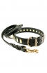 Leather Set of Decorated Dog Collar and Braided Leash