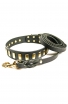 Leather Set of Decorated Dog Collar and Braided Leash