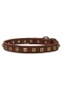 Studded Leather Dog Collar with 1 Row Brass Pyramids