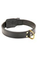 Extra Strong 2ply Leather Dog Collar with Fur Protection Plate