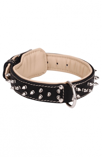 Spiked Leather Dog Collar and Braided Leash Set - Old Mill Store