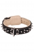 King Nappa Padded Leather Dog Collar with 2 Rows of Spikes