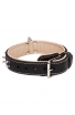 King Nappa Padded Leather Dog Collar with 2 Rows of Spikes