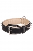 King Nappa Padded Leather Dog Collar with 2 Rows of Spikes