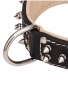 King Nappa Padded Leather Dog Collar with 2 Rows of Spikes