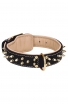 Royal Leather Dog Collar with Support Material and Gold-like Spikes