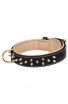 Royal Leather Dog Collar with Support Material and Gold-like Spikes