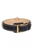 Royal Leather Dog Collar with Support Material and Gold-like Spikes
