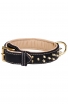 Royal Leather Dog Collar with Support Material and Gold-like Spikes