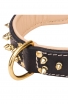 Royal Leather Dog Collar with Support Material and Gold-like Spikes