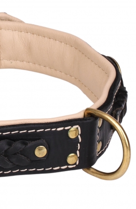 Designer Nappa Padded Leather Dog Collar with Brass Decorations