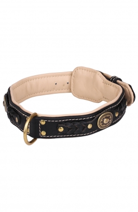 Designer Nappa Padded Leather Dog Collar with Brass Decorations