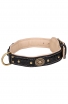 Designer Nappa Padded Leather Dog Collar with Brass Decorations