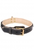 Designer Nappa Padded Leather Dog Collar with Brass Decorations