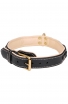 Designer Nappa Padded Leather Dog Collar with Brass Decorations