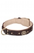 Designer Nappa Padded Leather Dog Collar with Brass Decorations