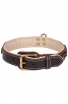 Designer Nappa Padded Leather Dog Collar with Brass Decorations