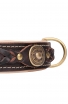 Designer Nappa Padded Leather Dog Collar with Brass Decorations