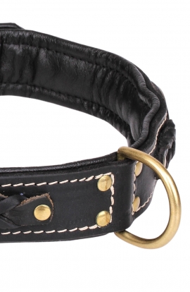 Roayl Braided Dog Collar with Black Nappa Padding and Brass Decorations