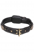 Roayl Braided Dog Collar with Black Nappa Padding and Brass Decorations