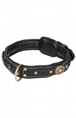 Roayl Braided Dog Collar with Black Nappa Padding and Brass Decorations