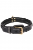 Roayl Braided Dog Collar with Black Nappa Padding and Brass Decorations