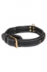 Roayl Braided Dog Collar with Black Nappa Padding and Brass Decorations