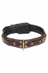 Roayl Braided Dog Collar with Black Nappa Padding and Brass Decorations