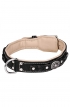 2 ply Leather Dog Collar with Nappa Padding and Nickel Decorations