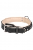 2 ply Leather Dog Collar with Nappa Padding and Nickel Decorations