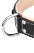 2 ply Leather Dog Collar with Nappa Padding and Nickel Decorations