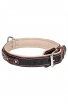 2 ply Leather Dog Collar with Nappa Padding and Nickel Decorations