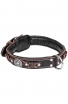 Designer 2 ply Leather Dog Collar with Black Nappa Padding and Nickel Decorations