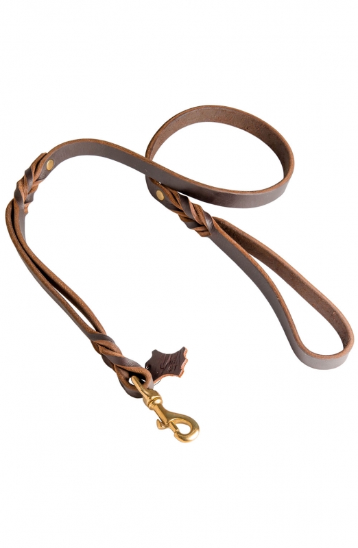 HST Leather Leash with Braided Ends with Handle – Maximum K9 Services