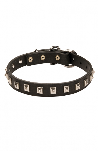 Spiked Leather Dog Collar and Braided Leash Set - Old Mill Store