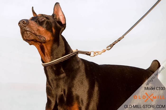 Best Training Choke Collar for Doberman