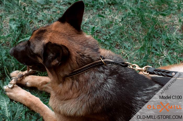 German Shepherd Leather Choke Collar