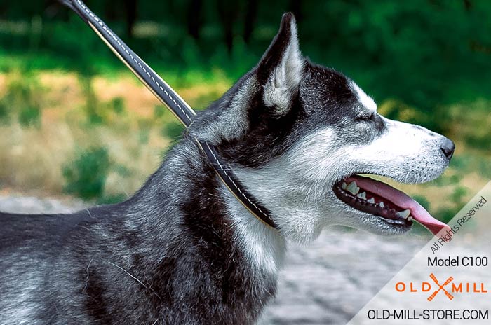 Soft Padded Choker Husky Collar