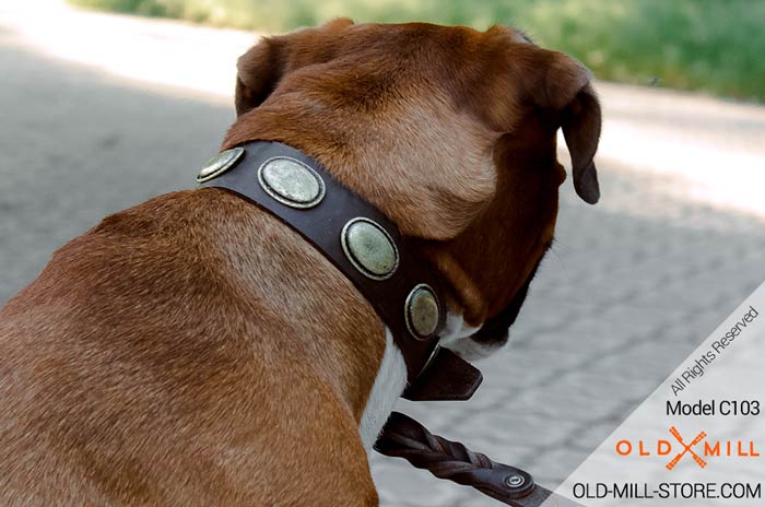 Boxer Collar with Old Brass Vintage Plates