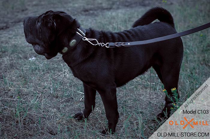 Vintage Collar for Shar-pei